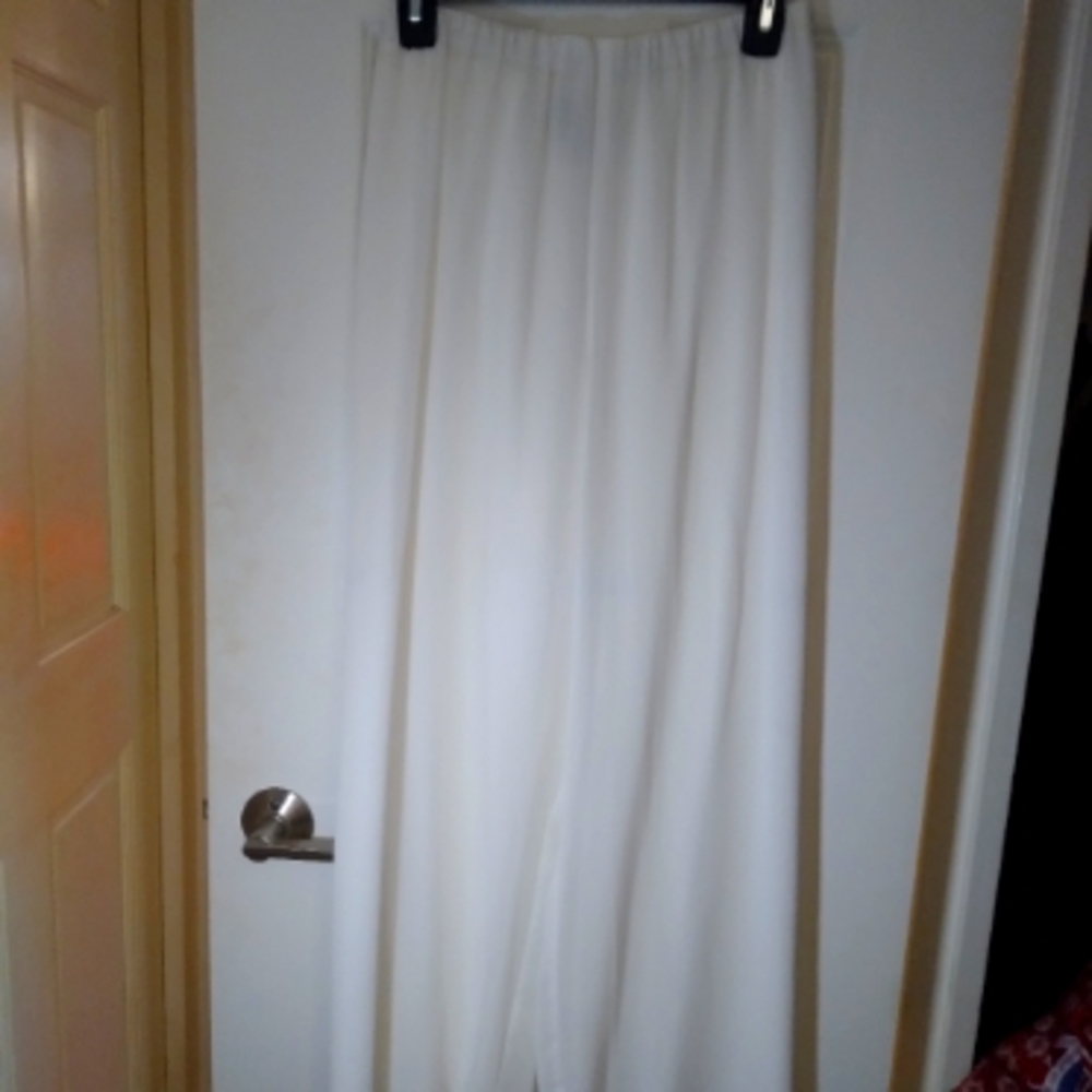 Sheer lined dress pants